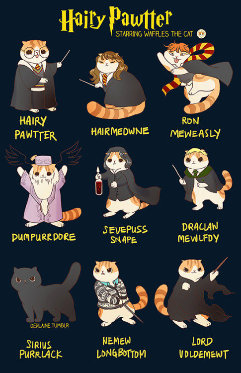 Hairy Pawtter: Funny Harry Potter Cat Poster by WafflesCat 