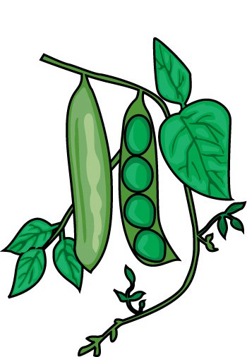 String Bean Characters Clipart 
