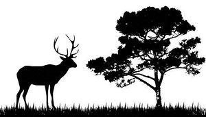 15+ Deer Hunter Clipart 
