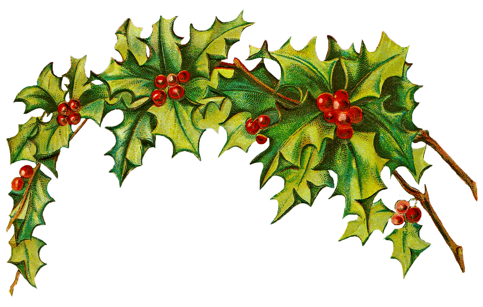 Free Christmas Clip Art Holly 