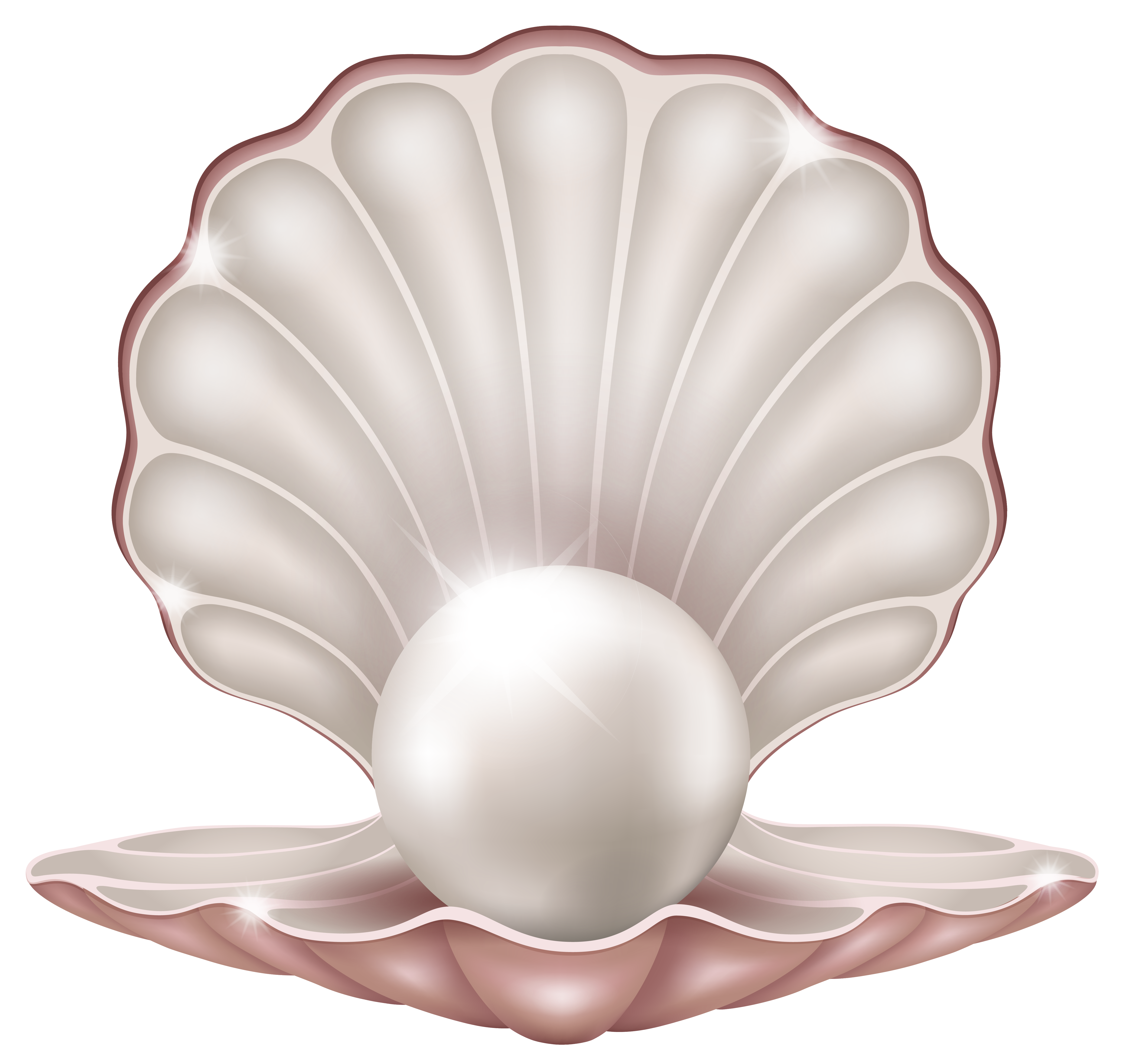 Free Pearl Shell Cliparts, Download Free Pearl Shell Cliparts png