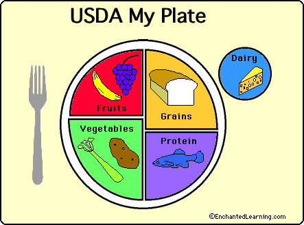blank my plate diagram