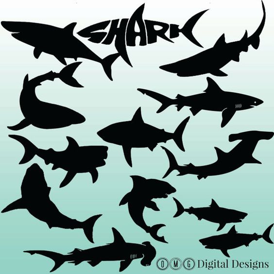 12 Shark Silhouette Digital Clipart Image by OMGDIGITALDESIGNS 
