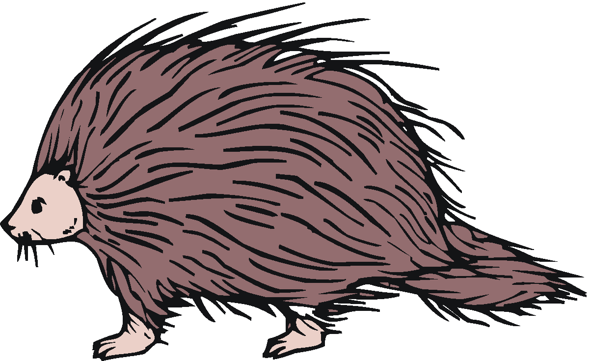 Free Cute Porcupine Cliparts, Download Free Cute Porcupine Cliparts png