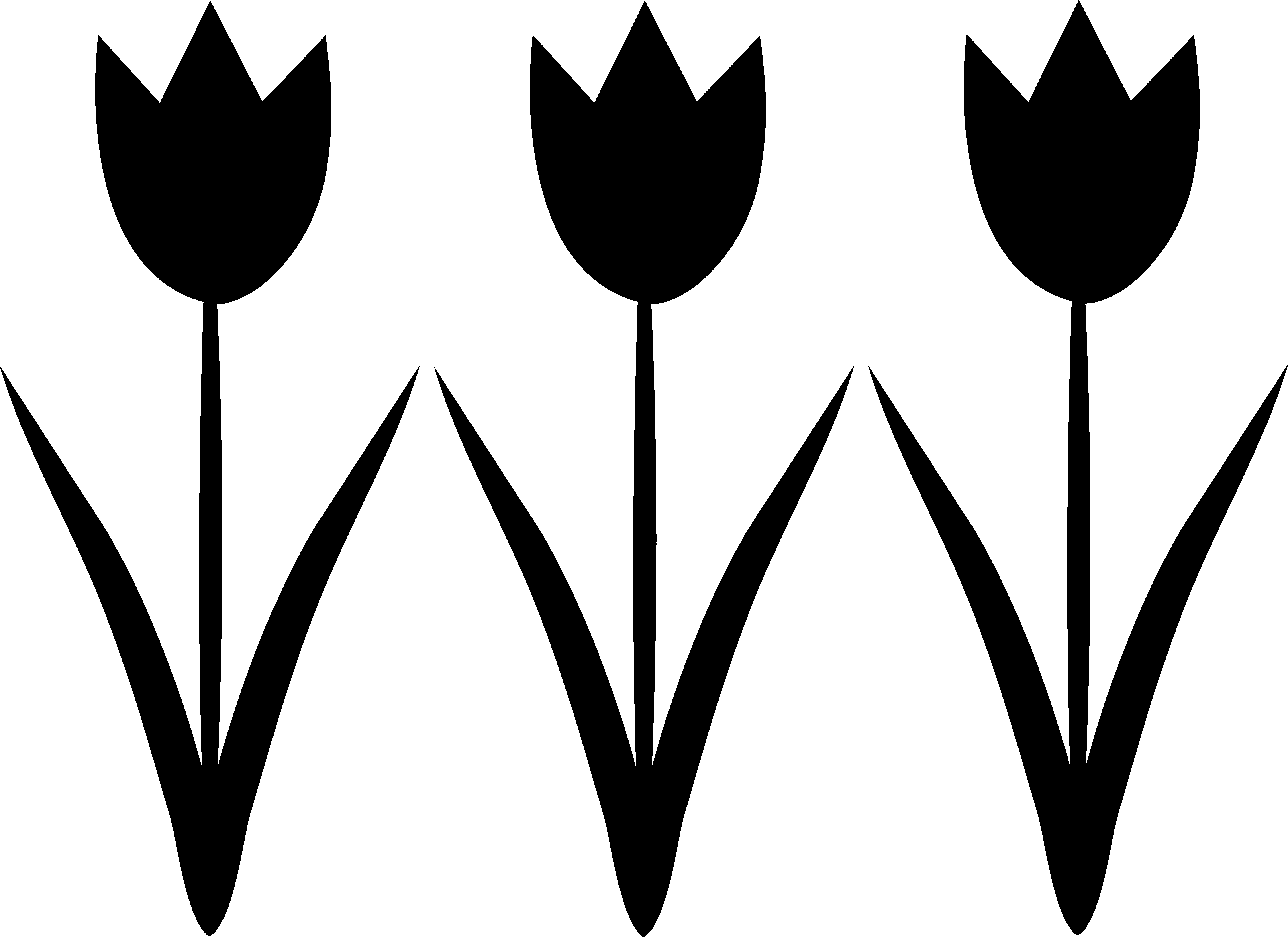 Free Tulip Cliparts Outline Download Free Tulip Cliparts Outline Png