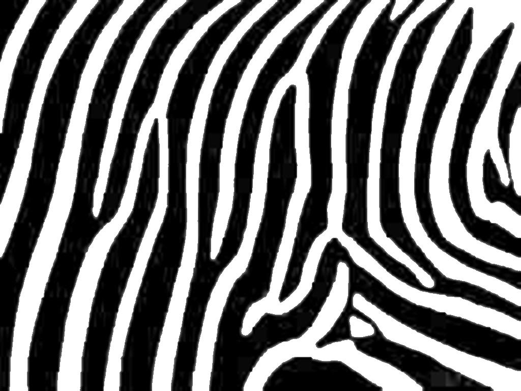 Zebra Print Background Clipart 