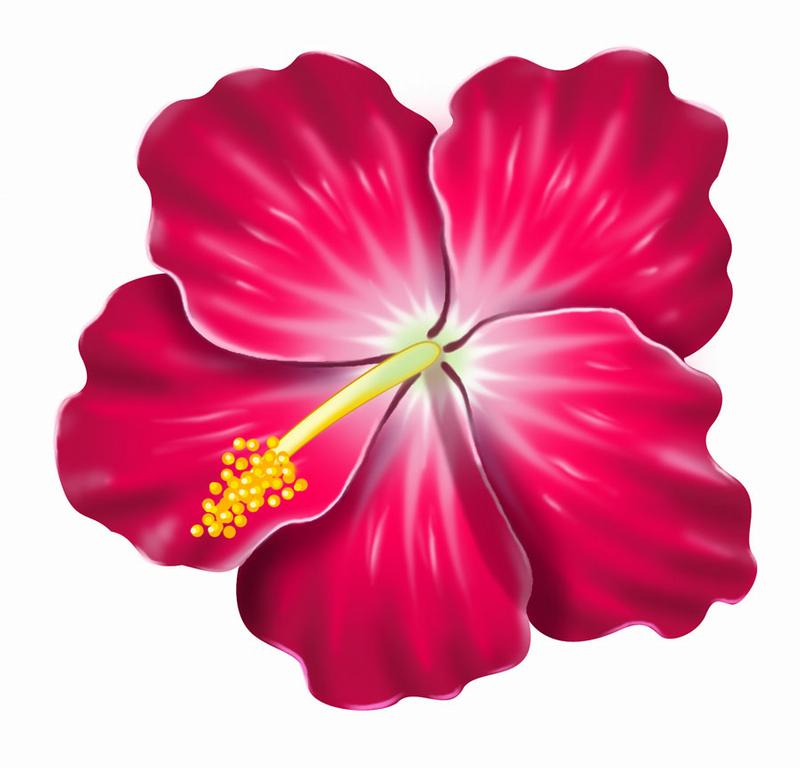 free-printable-hibiscus-flower-template-free-printable-calendar