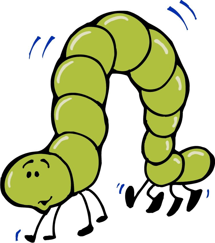 Inchworm Clipart 