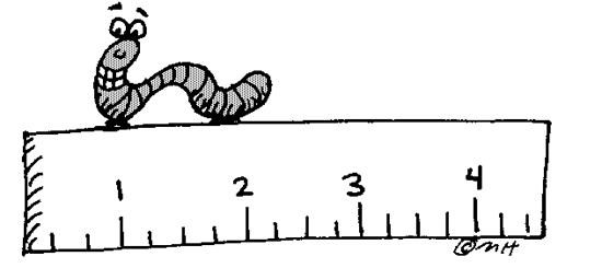Inchworm Clipart 
