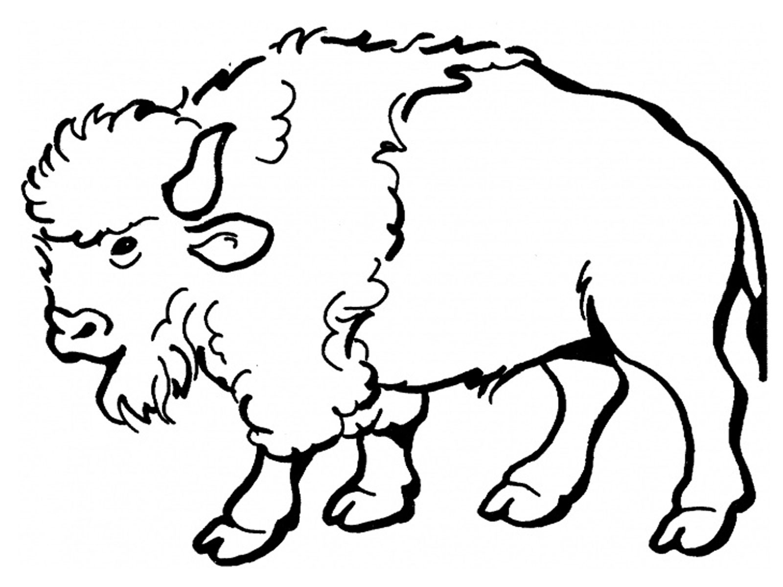 Bison Black And White Clipart 