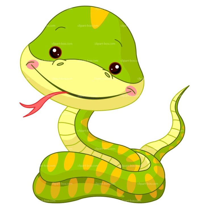 Cute Snake Clipart 