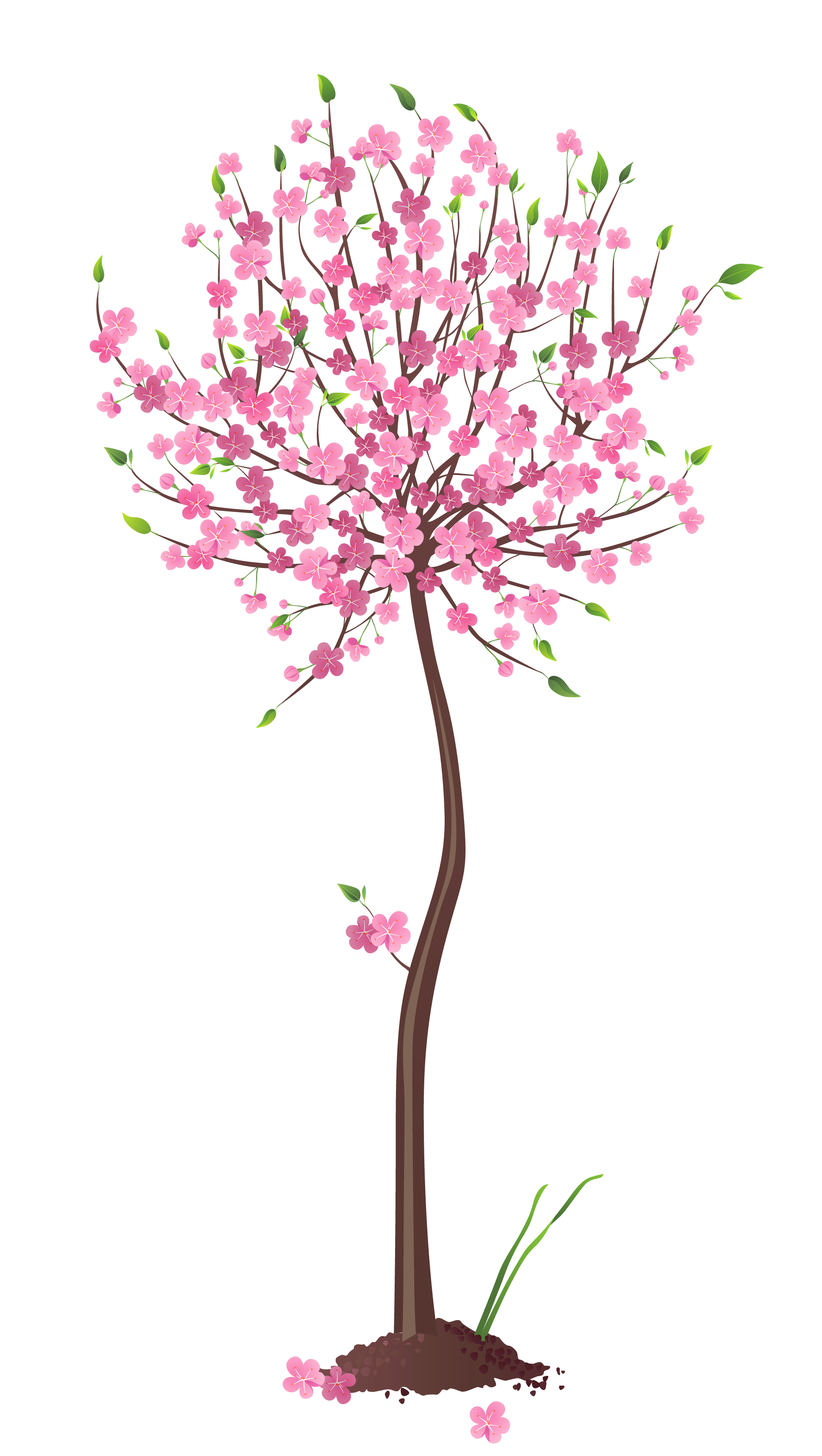 Spring Pink Tree PNG Clipart 