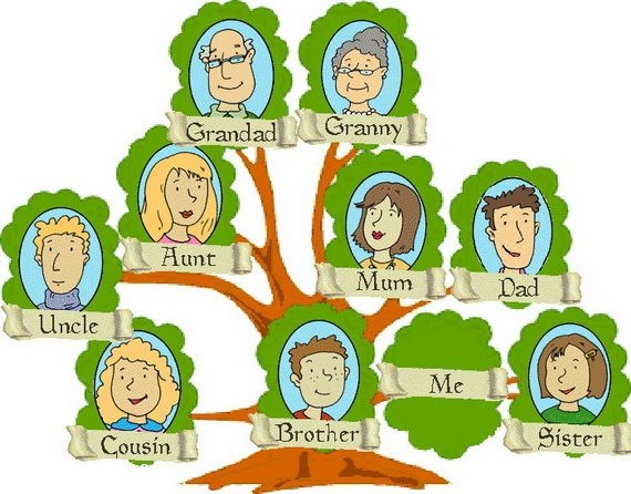 family tree clipart images
