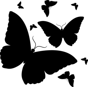 The Black Butterfly 