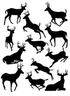 Deer Head Silhouettes 