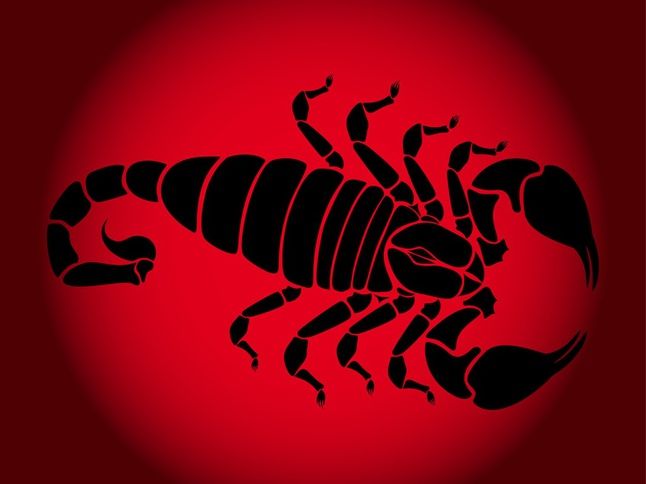 scorpion clip art 