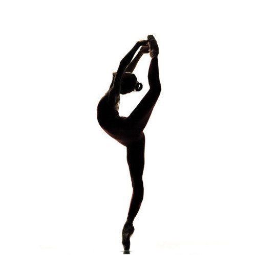 Silhouette Dancer 