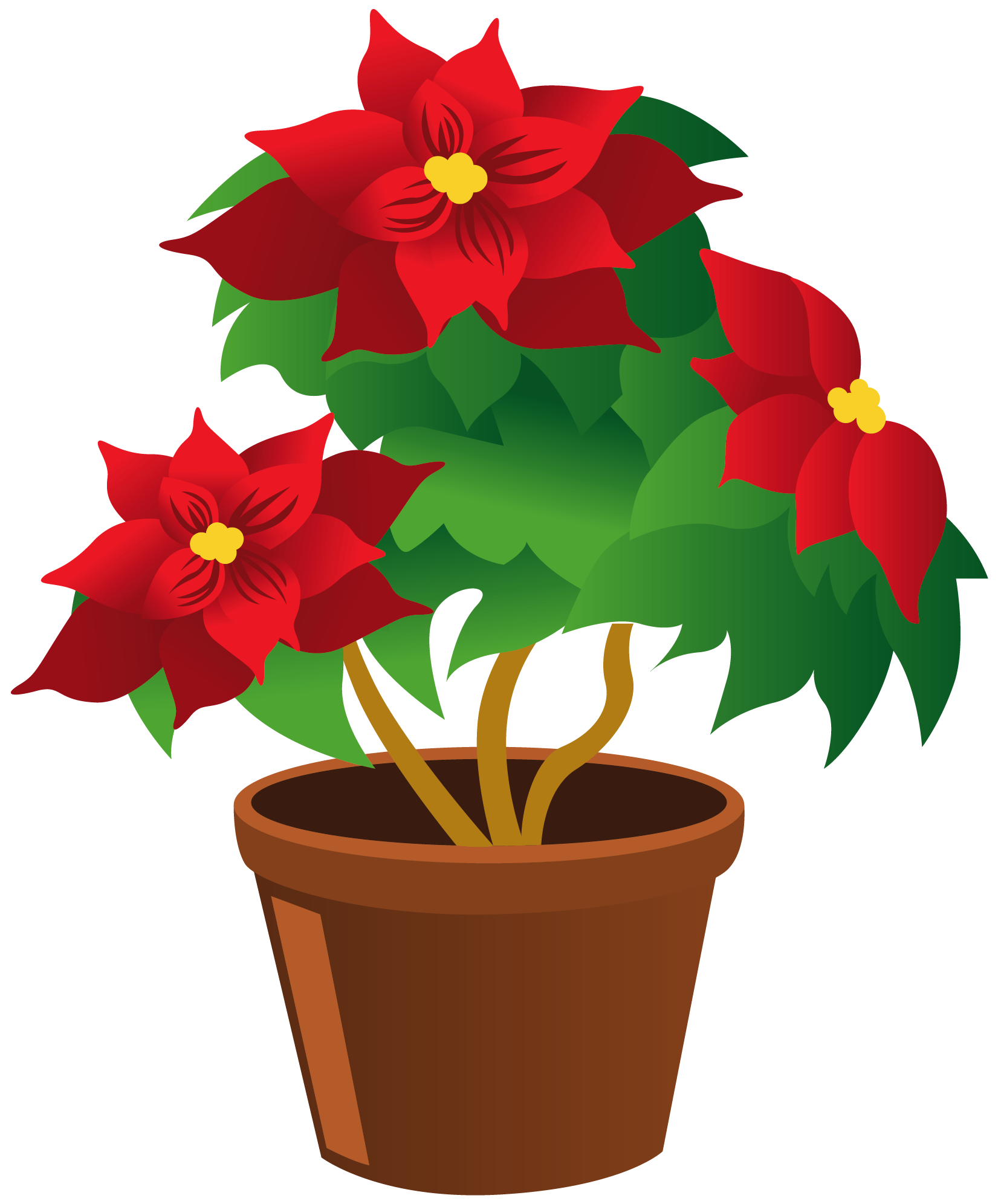 Potted Plant Clipart 