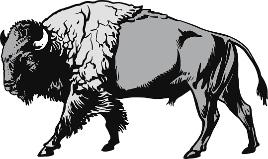 American bison clip art 
