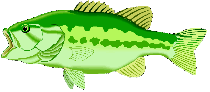 Jumping Bass Fish Clip Art 