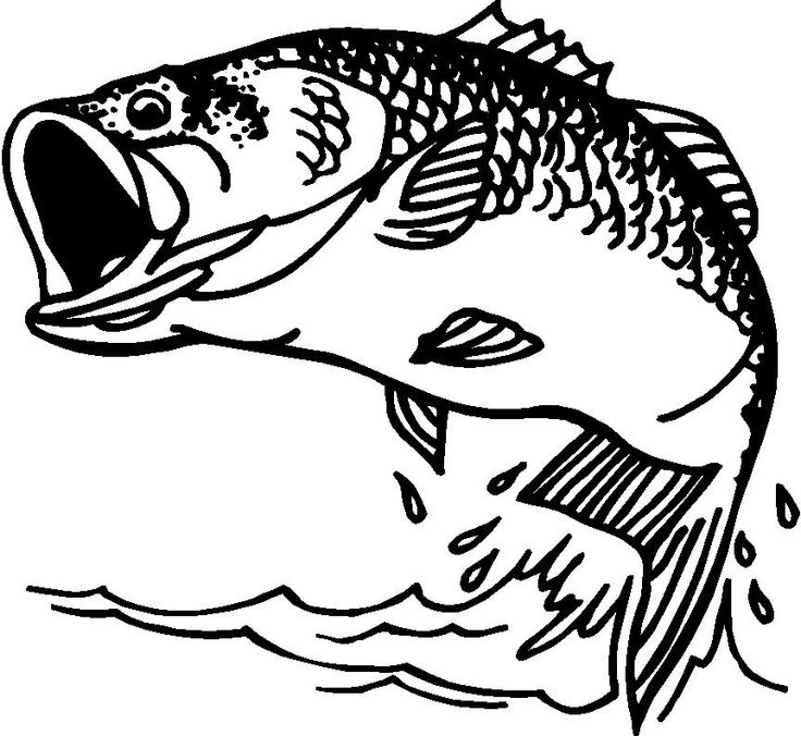 trout clip art black and white