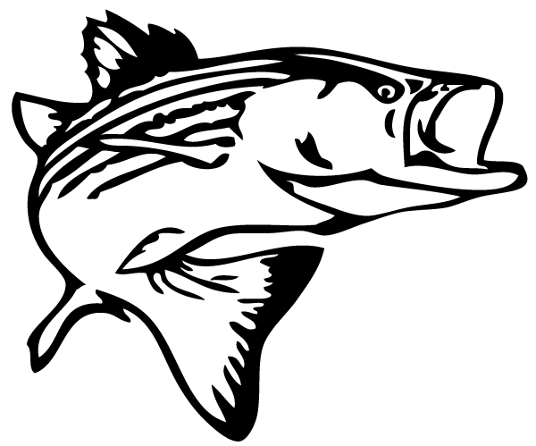 Bass fish pictures clip art 