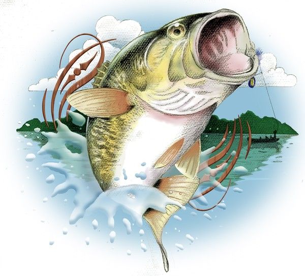 Free clip art bass fish 