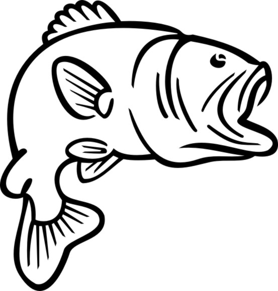Bass Fish Clip Art 