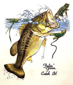 Google Image Clip Art free of fish 