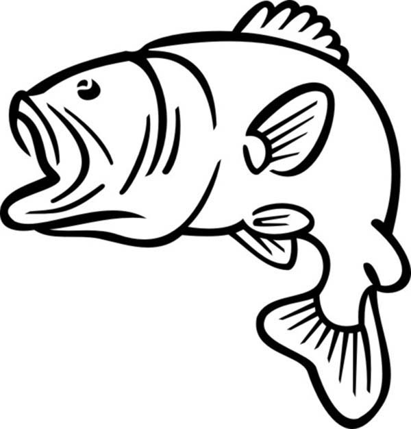 Bass Fish Jumping Coloring Page, bass fish clipart. Coloring 