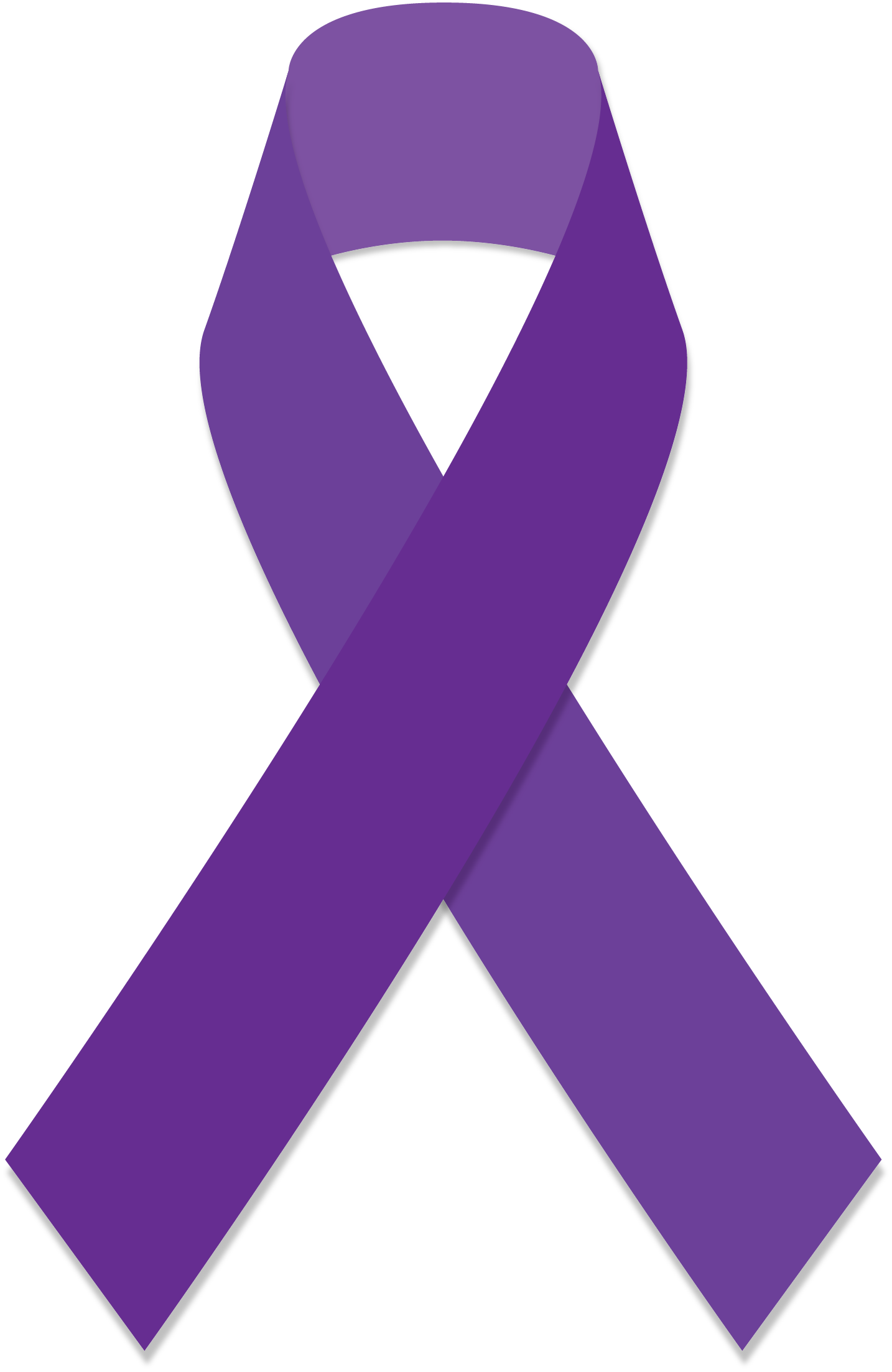 What Does The Pink And Purple Ribbon Mean at Helen Lyon blog