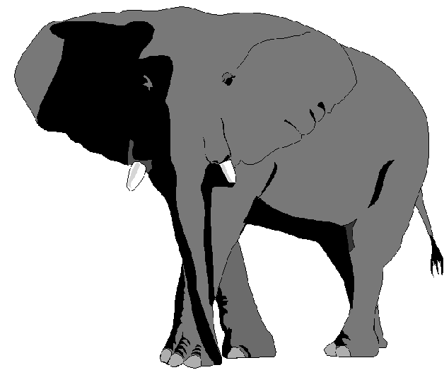Clipart Of African Animals 