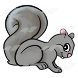 A Beka Book :: Clip Art :: Gray Squirrel 