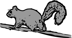 Gray Squirrel Bw Clipart 