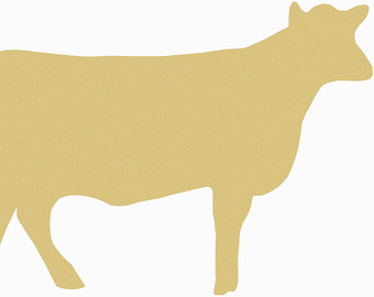 Cow shape 
