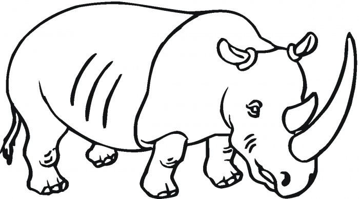 Rhino Horn Clipart 