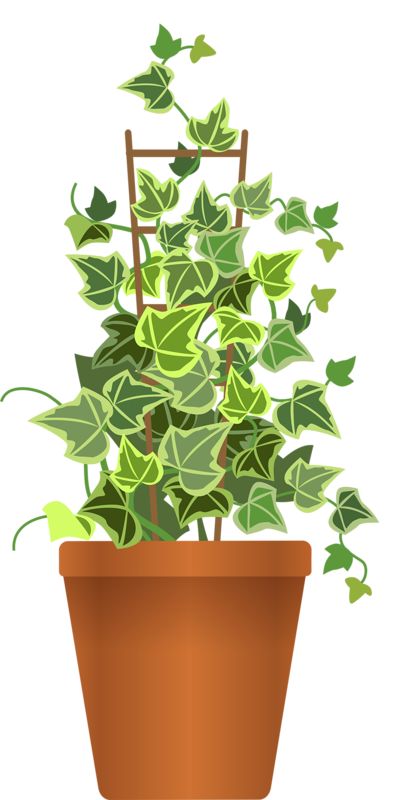 Free Plant Pot Png, Download Free Plant Pot Png png images, Free ClipArts  on Clipart Library