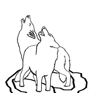 Easy Wolf Drawing Clipart Cute Black And White. Snowjet.co 
