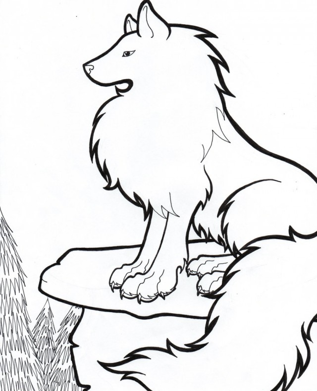 Wolf drawing clipart 