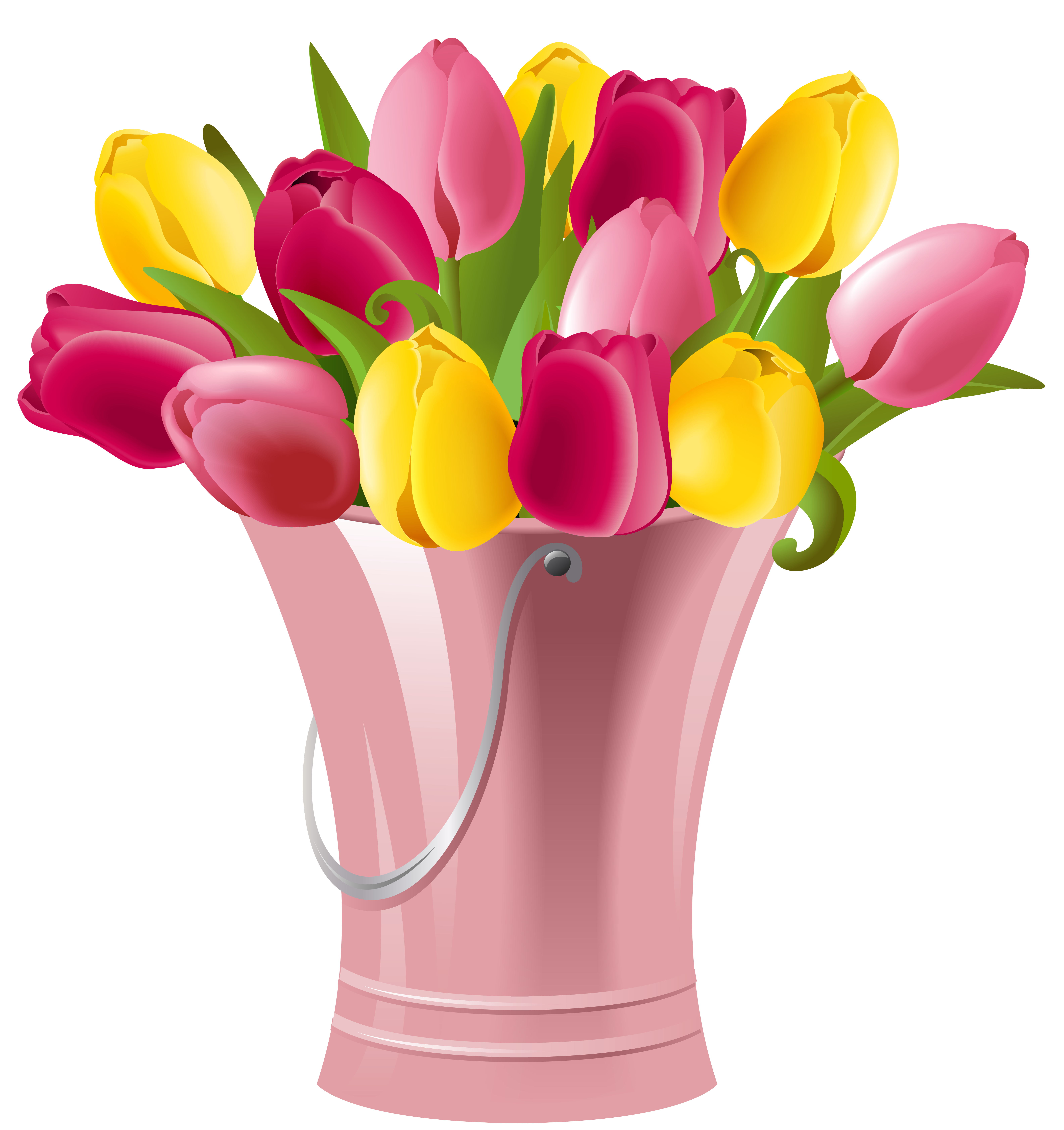 Spring Bucket with Tulips Transparent PNG Clip Art Image 