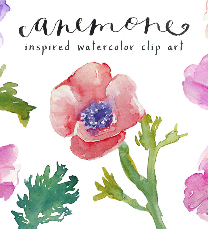Watercolor Anemones Clip Art 