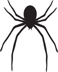 Black And White Spider Clipart 