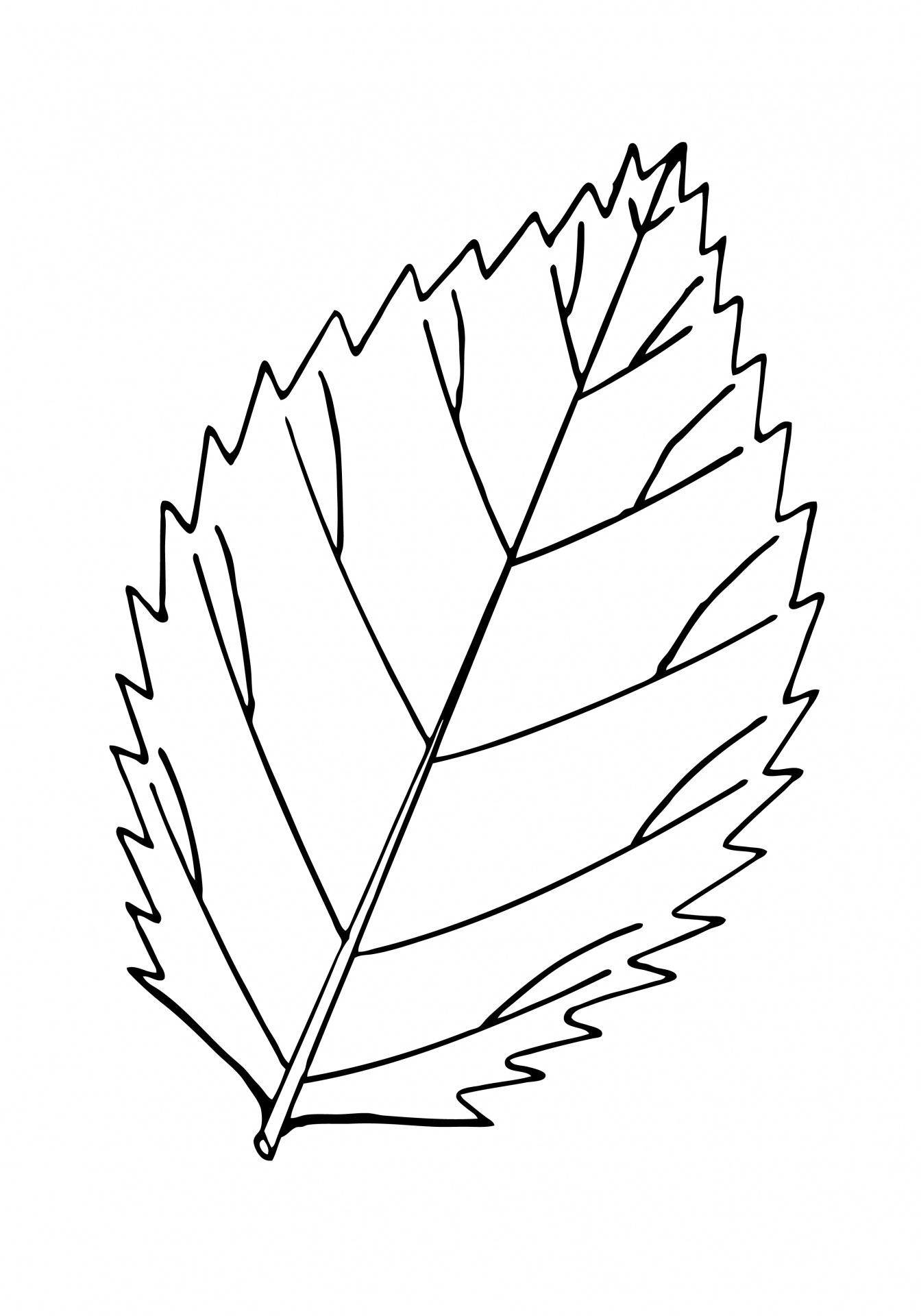 Free Leaf Cliparts Outline Download Free Leaf Cliparts Outline Png