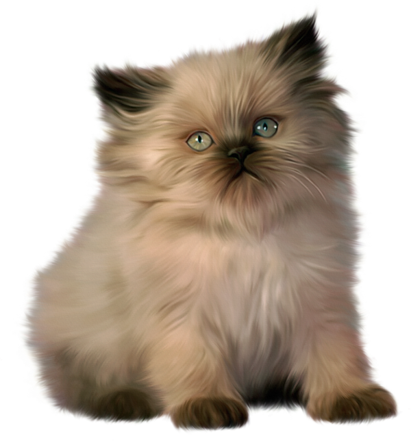 Cute Little Kitty Clipart?m=1363734000 