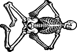 Skeleton cartoon skull clipart image 