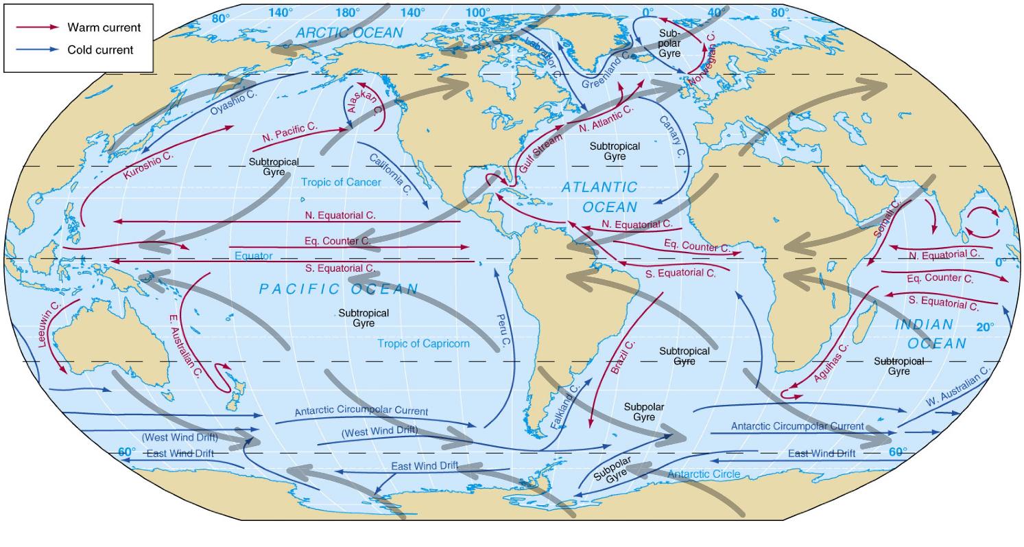 Free Ocean Current Cliparts Download Free Ocean Current Cliparts Png 