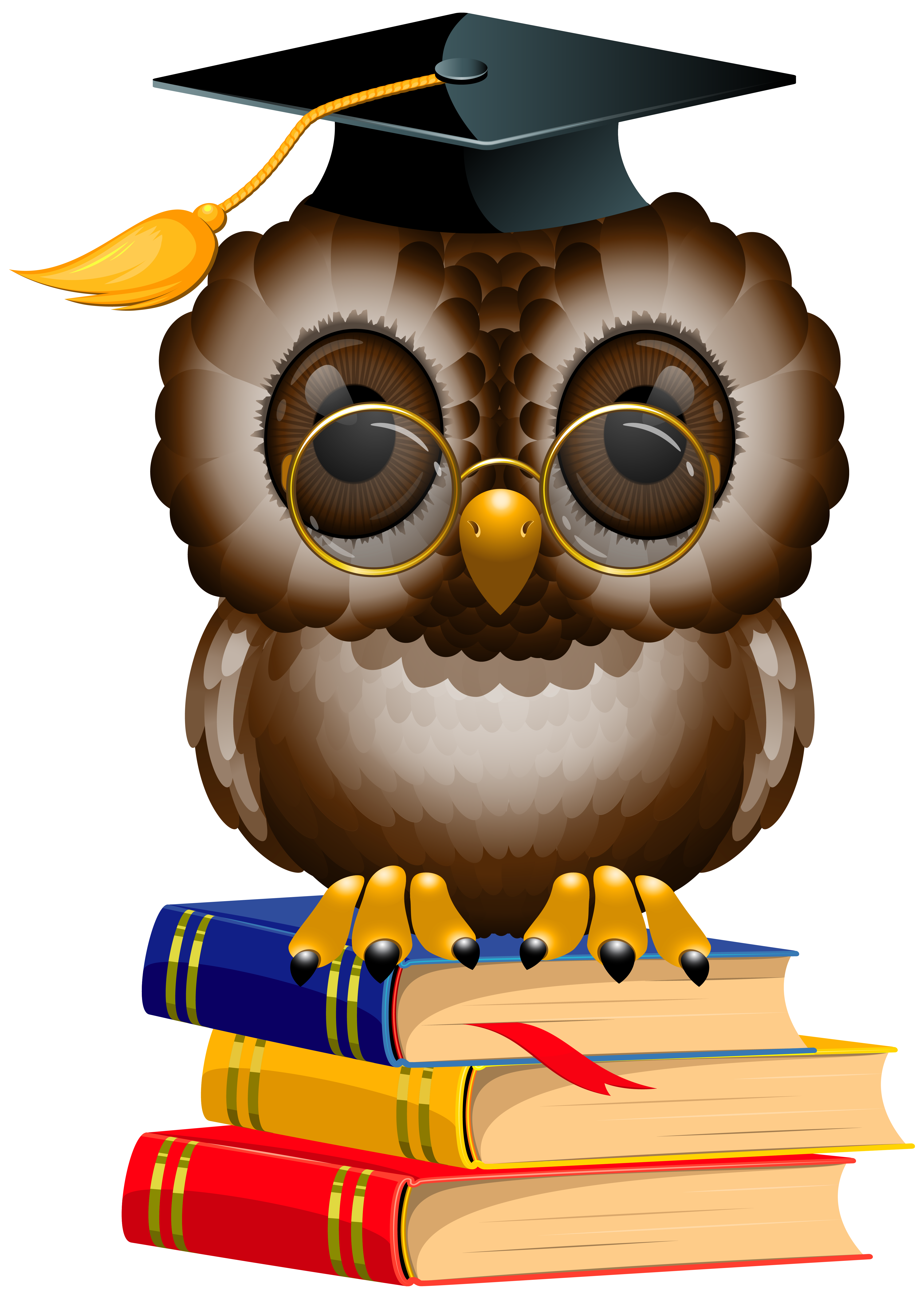 Owl with School Books and Cap PNG Clipart Image 