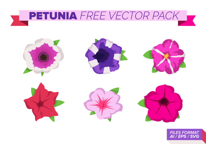 Petunia Free Vector Pack 
