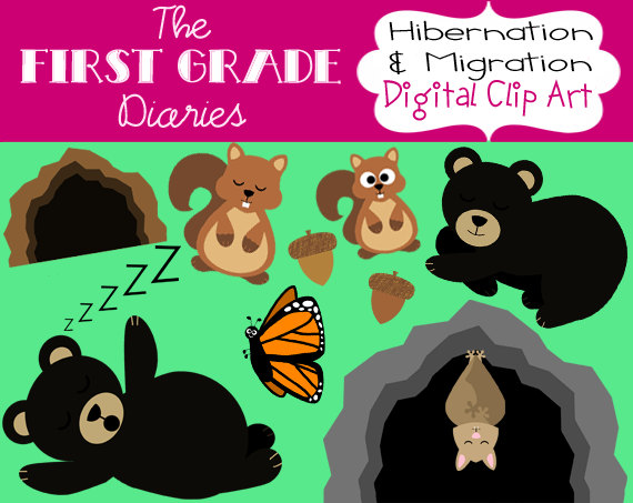 Hibernation  Migration Digital Clip Art by TheFirstGradeDiaries 