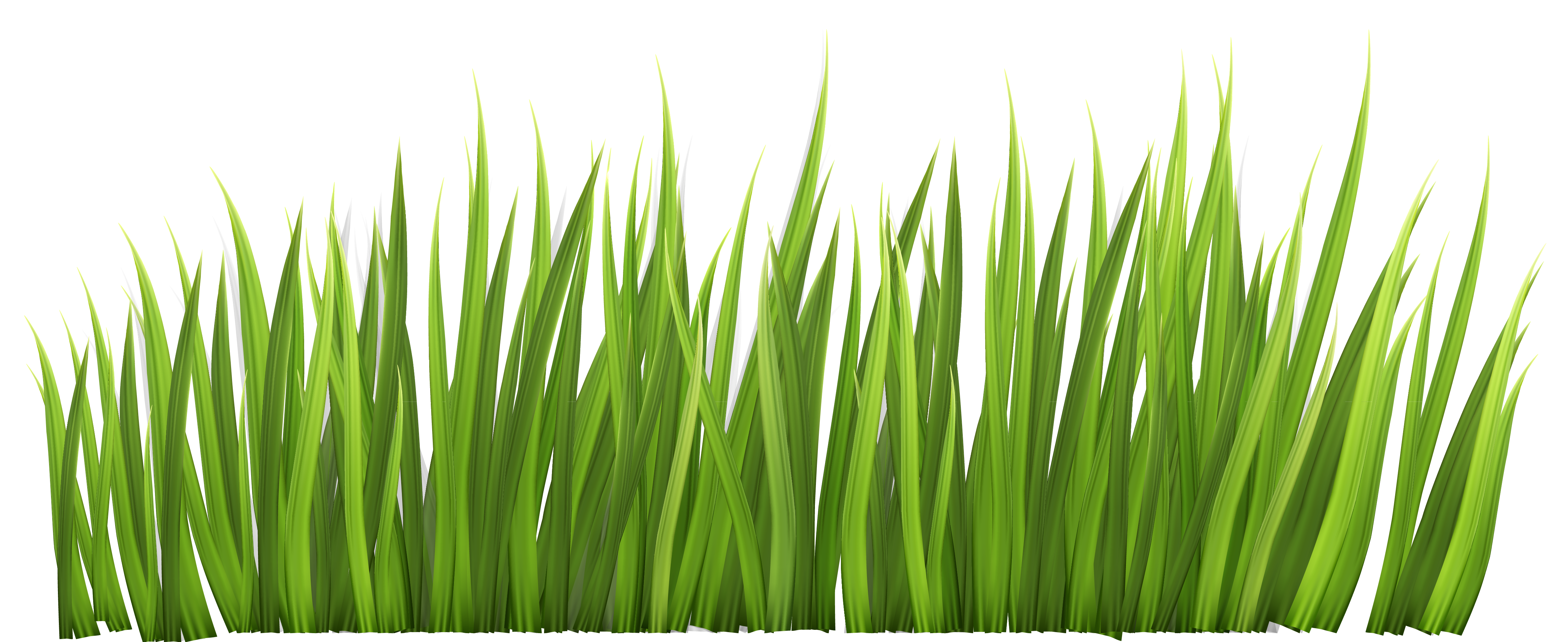 Free Grass Border Cliparts Download Free Grass Border Cliparts Png